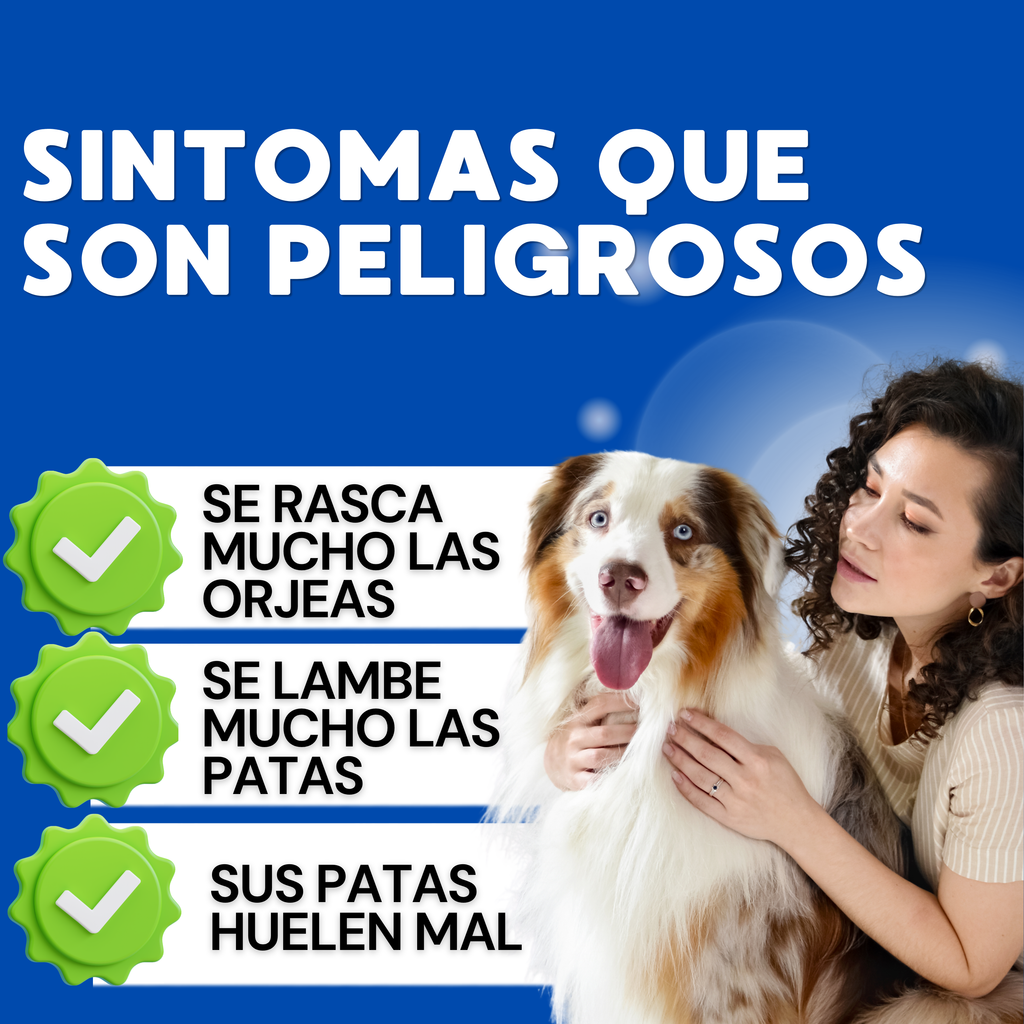 TURKEY TAIL + ELIMINA LAS ALERGIAS Y PROBLEMAS DIGESTIVOS DE TU MASCOTA