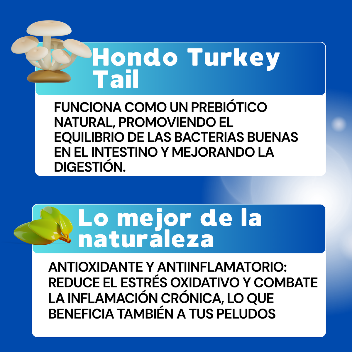 TURKEY TAIL + ELIMINA LAS ALERGIAS Y PROBLEMAS DIGESTIVOS DE TU MASCOTA
