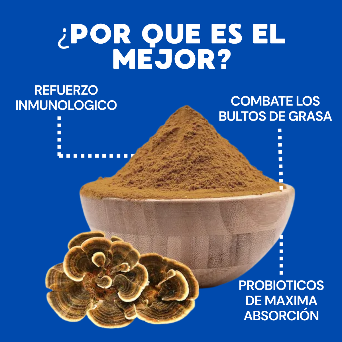 TURKEY TAIL + ELIMINA LAS ALERGIAS Y PROBLEMAS DIGESTIVOS DE TU MASCOTA