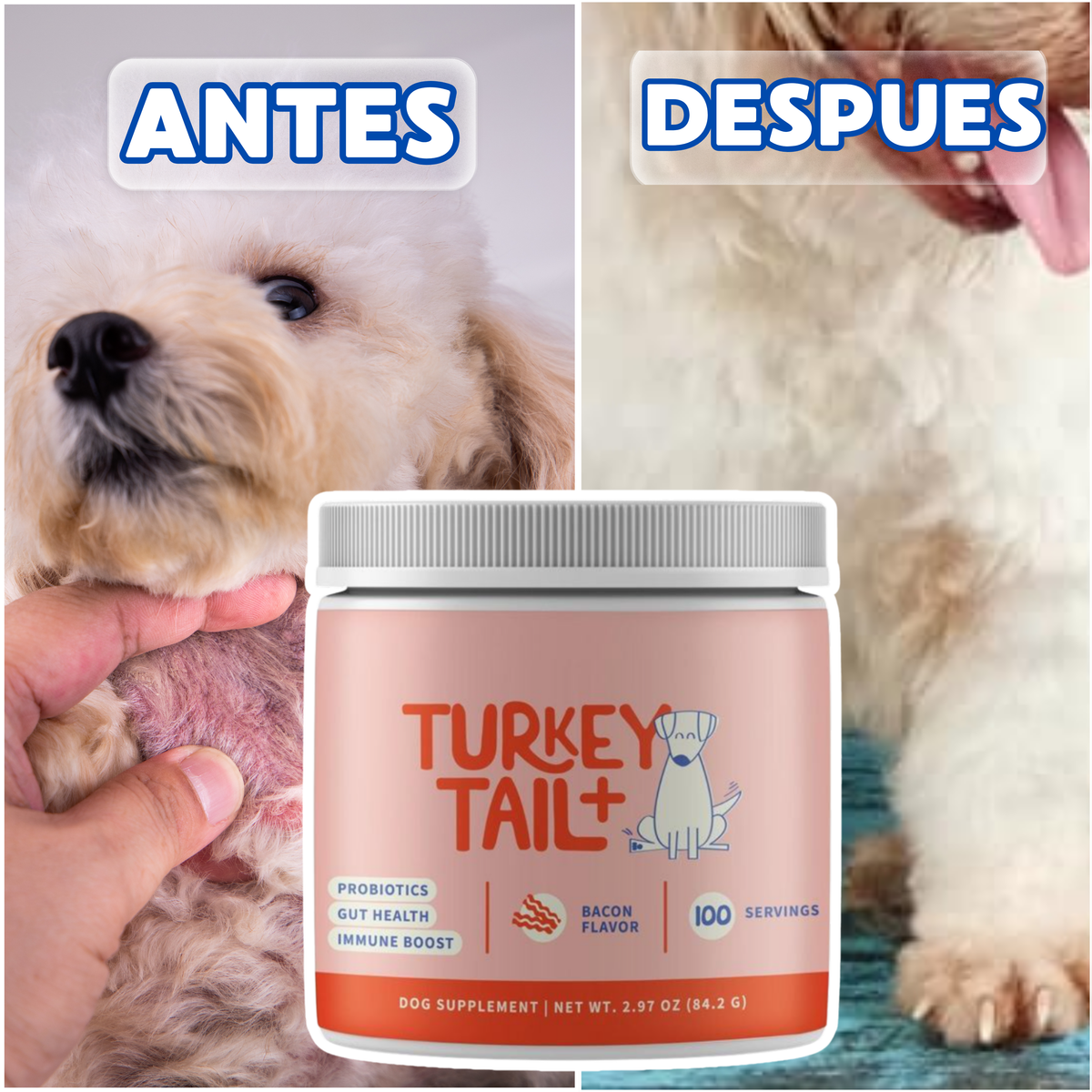 TURKEY TAIL + ELIMINA LAS ALERGIAS Y PROBLEMAS DIGESTIVOS DE TU MASCOTA